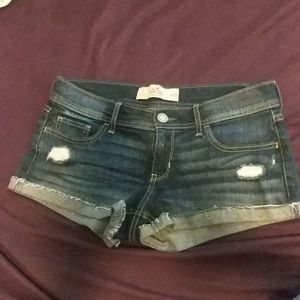 Hollister Short low rise